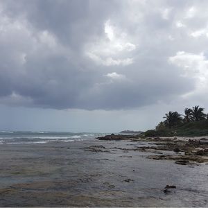 Meet your Posher, King